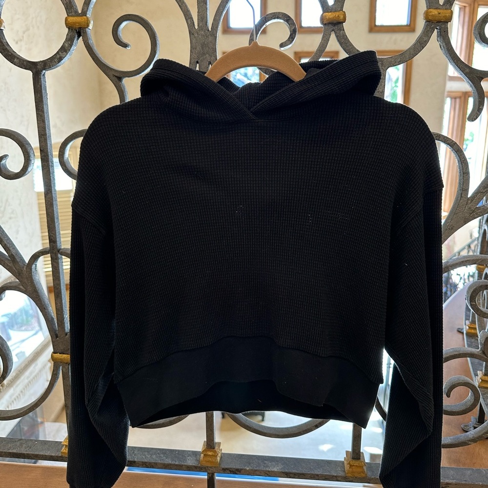 Aritzia Babaton Hoodie